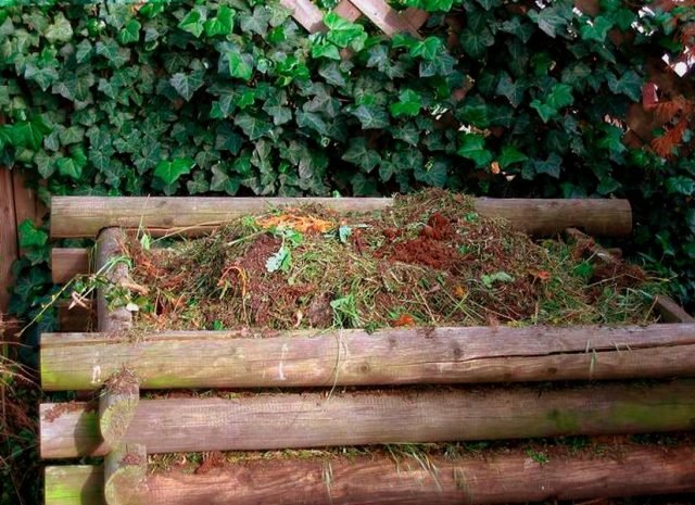 Compost is een gezonde voeding voor planten. Voorbereiding van compost. Wat gaat naar compost. Snelle compost. Foto