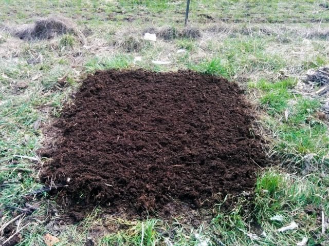 Compost is een gezonde voeding voor planten. Voorbereiding van compost. Wat gaat naar compost. Snelle compost. Foto