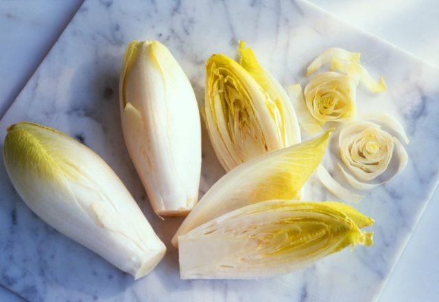 Tsikoria en zijn familieleden: vindt voor bijen en salades. Foto