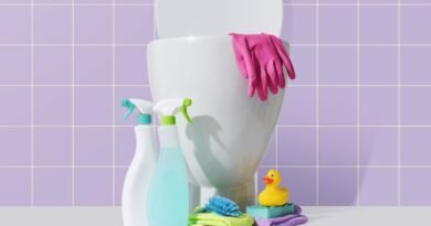 De toiletpot thuis ontkalken: de beste oplossingen en deskundig advies