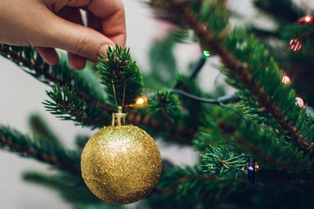 Christmas Tree - Hoe spaar je naalden? Hoe u een verse spar kiest. Hoe om te geven. Advies