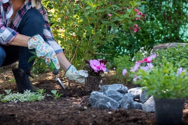 Wat te vergeten om in mei niet te doen aan de tuinman? Seizoenswerk in de tuin en de tuin. Foto