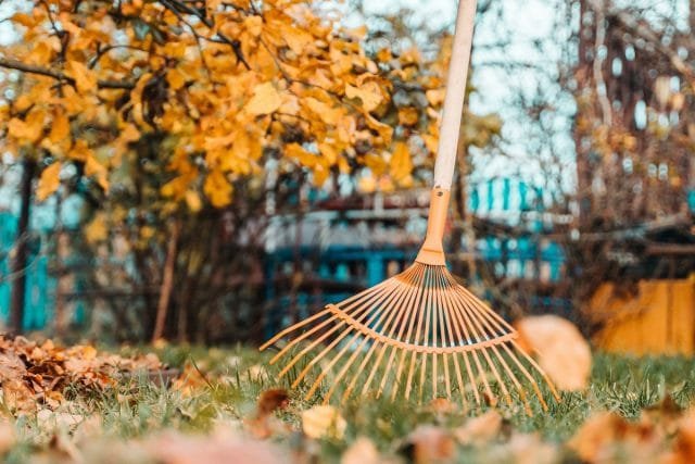 Wat moet je niet vergeten om de tuinman in oktober te doen? Lijst van werk in de tuin en de tuin. Foto