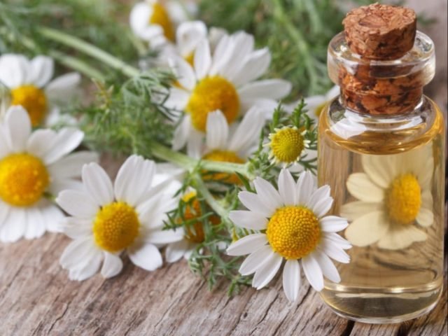 Wat geschikt is voor aromatherapie - we kiezen de geur van de stemming. Foto