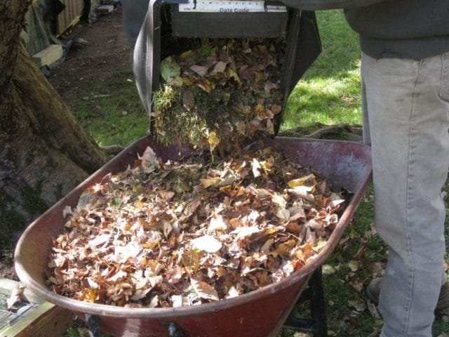 Wat te doen met herfstgebladerte in de tuin? Voorbereiding van compost uit herfstbladeren. Foto