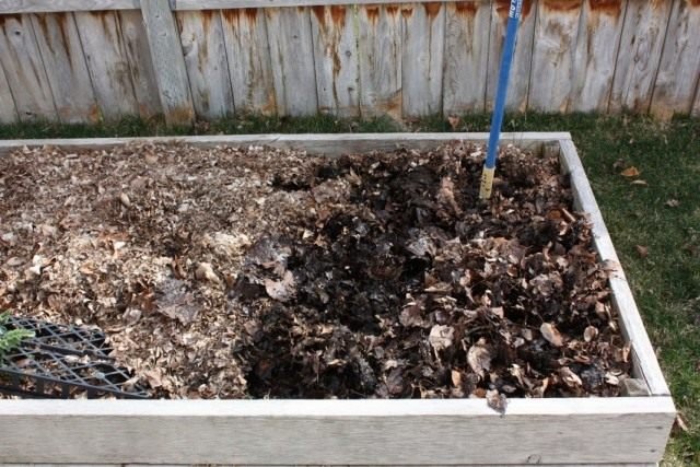 Wat te doen met herfstgebladerte in de tuin? Voorbereiding van compost uit herfstbladeren. Foto