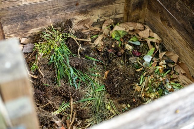 Wat kan er in de herfst niet met compost worden gedaan? Foto