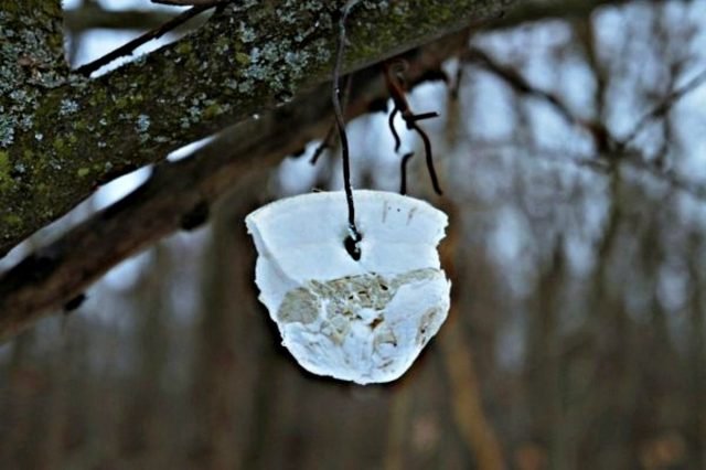 Hoe kunt u vogels in de winter niet voeden? Producten van onze tafel. Foto