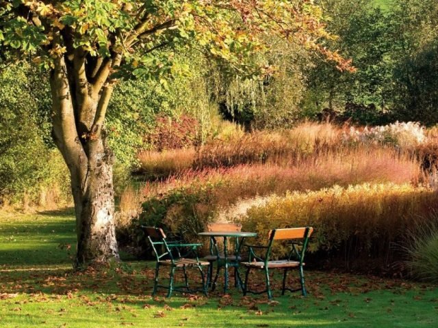 10 ideeën hoe u uw tuin kunt beschermen tegen nieuwsgierige ogen. Foto