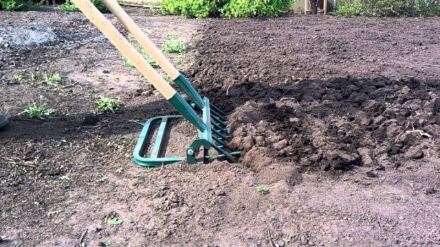 Hoe een schop in de tuin te vervangen? 7 Handige tools. Foto