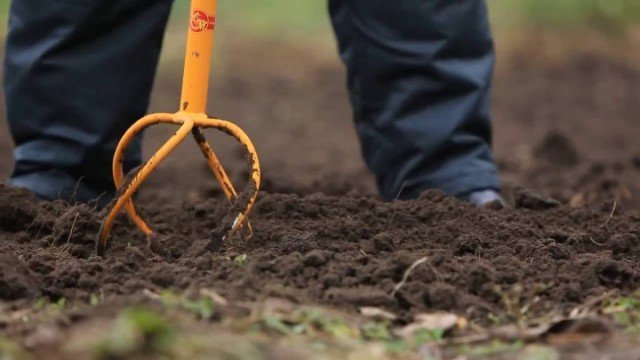 Hoe een schop in de tuin te vervangen? 7 Handige tools. Foto