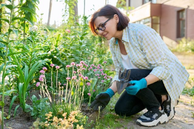 10 vaste planten die me vorig seizoen aangenaam verrasten