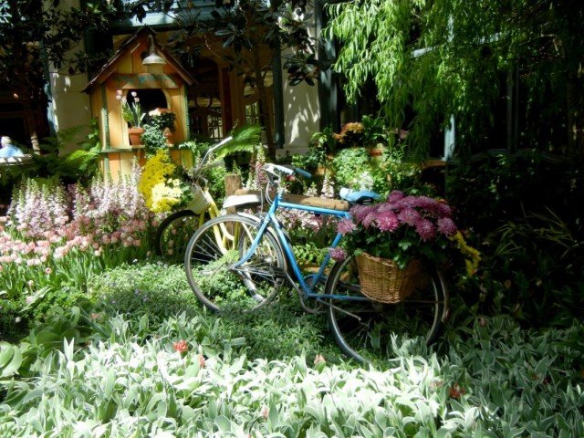 10 Basiselementen van de Nederlandse tuin. De Nederlandse stijl van landschapsontwerp. Foto