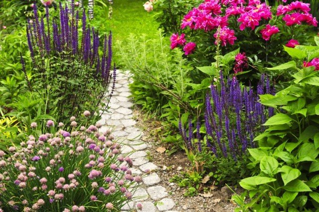 10 Basiselementen van de Nederlandse tuin. De Nederlandse stijl van landschapsontwerp. Foto