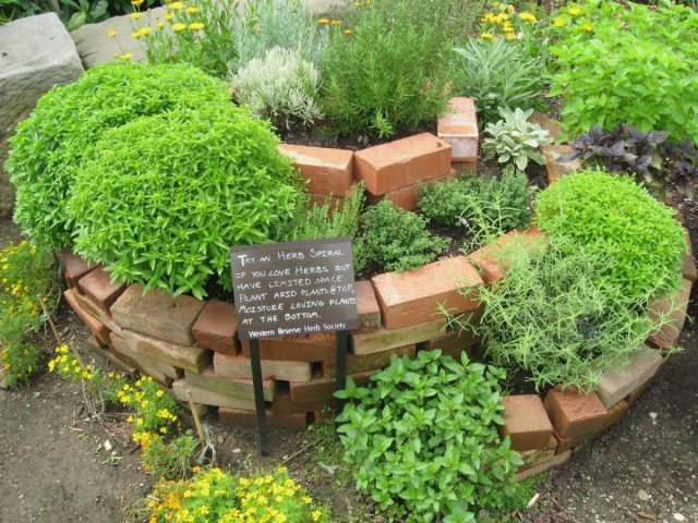 De "Tea" - bloemtuin is een bloembed voor het kweken van kruidige en medicinale kruiden. De keuze van planten. Zorg