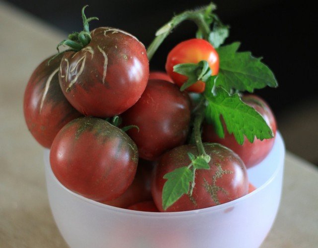 11 interessante variëteiten van tomaten die ik dit jaar heb opgevoed. Beschrijving. Foto