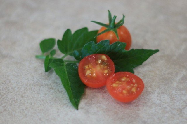 11 interessante variëteiten van tomaten die ik dit jaar heb opgevoed. Beschrijving. Foto