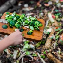 Wat te doen met kinderen in de tuin? Interessante, zich ontwikkelende en actieve klassen. Foto