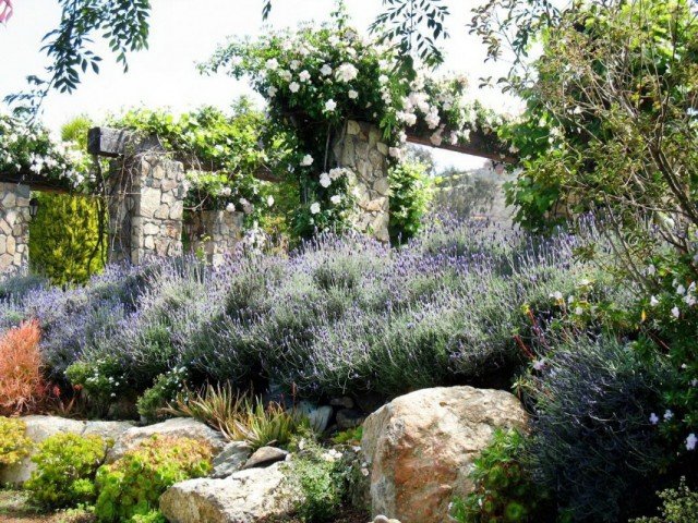 10 Basiscomponenten van de Franse tuin. Franse stijl van landschapsontwerp. Beschrijving, foto