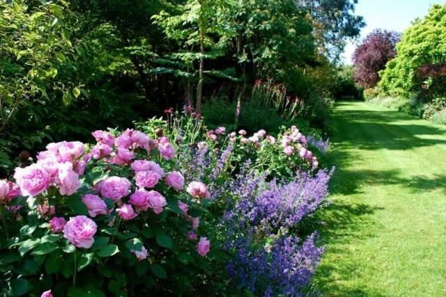 10 Basiselementen van de Engelse tuin. Engelse stijl in landschapsontwerp. Foto