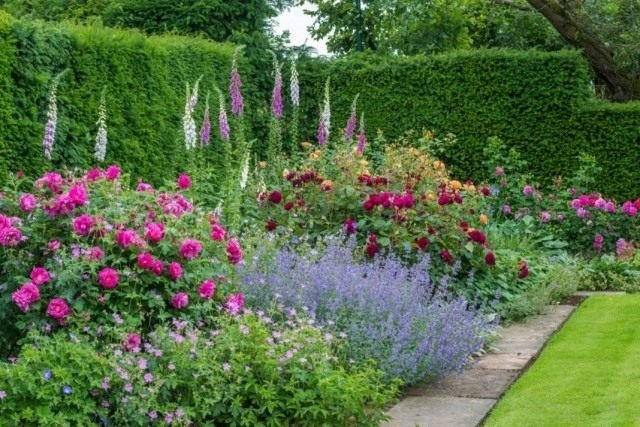 10 Basiselementen van de Engelse tuin. Engelse stijl in landschapsontwerp. Foto